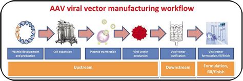 formulation for aav vectors